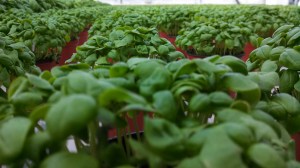 IMG_20140322_104439_720